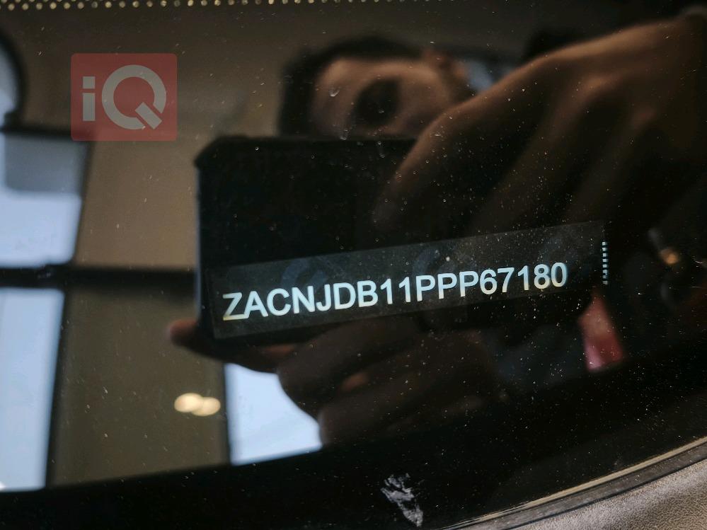 جيب رينيجيد